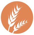Gluten