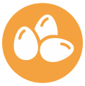 Huevos
